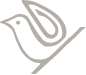 TheWren_Bird_WHITE
